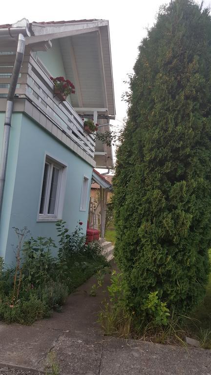 Casa Cristina Vila Sovata Exterior foto